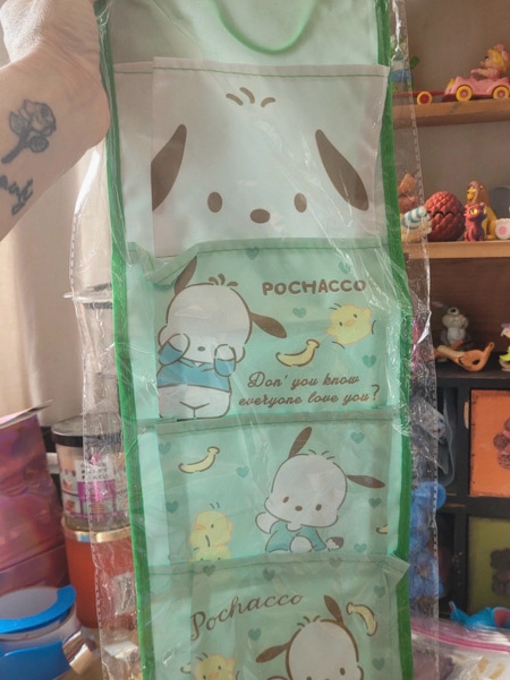 Pochacco Kids storage Hanging Organizer - Mint Green